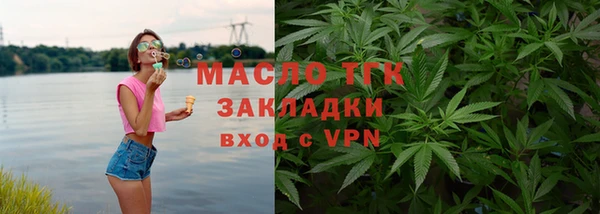 хмурый Аркадак