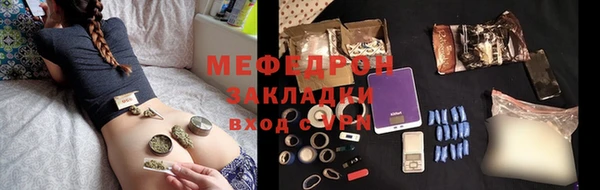 хмурый Аркадак