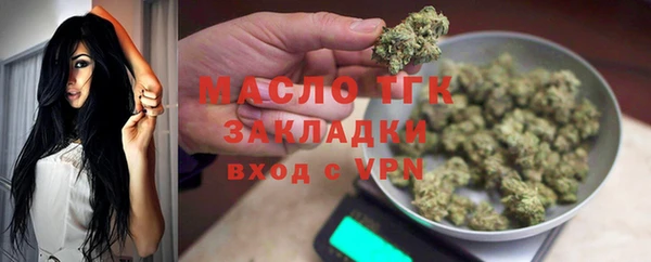 хмурый Аркадак