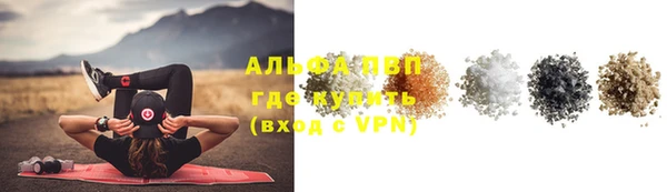 хмурый Аркадак