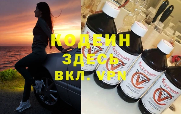 хмурый Аркадак