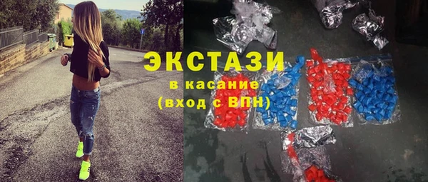 хмурый Аркадак