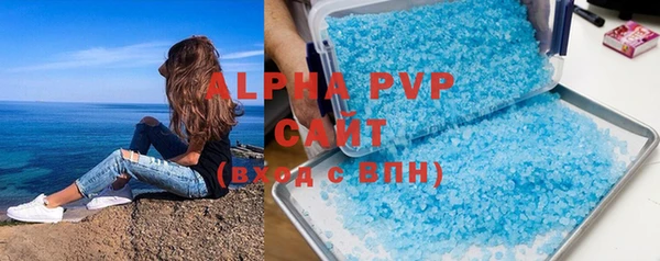 хмурый Аркадак