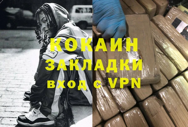 хмурый Аркадак