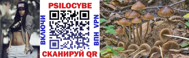 Псилоцибиновые грибы мицелий  Приволжск 